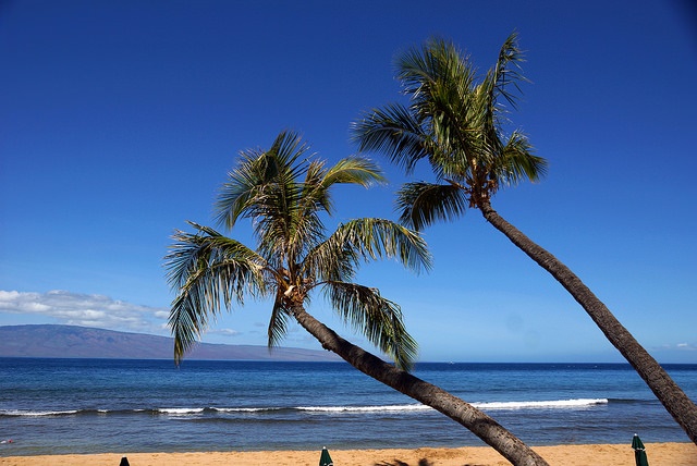 How to Have a Luxury Experience Visiting Maui